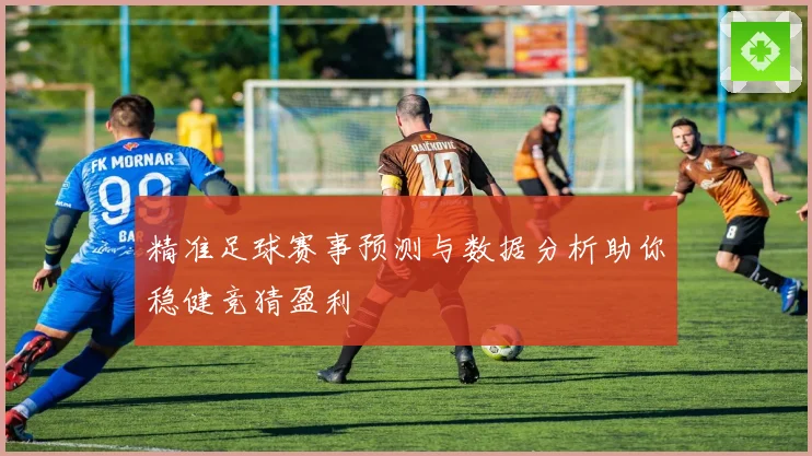 精准足球赛事预测与数据分析助你稳健竞猜盈利