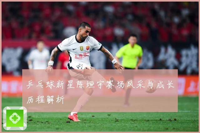 乒乓球新星陈垣宇赛场风采与成长历程解析