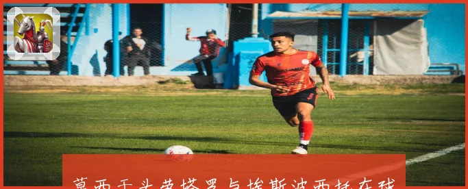 莫西干头劳塔罗与埃斯波西托在球队进攻体系中的桥梁作用与互补关系分析
