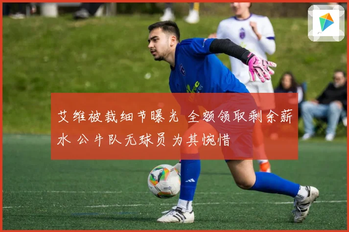 艾维被裁细节曝光 全额领取剩余薪水 公牛队无球员为其惋惜