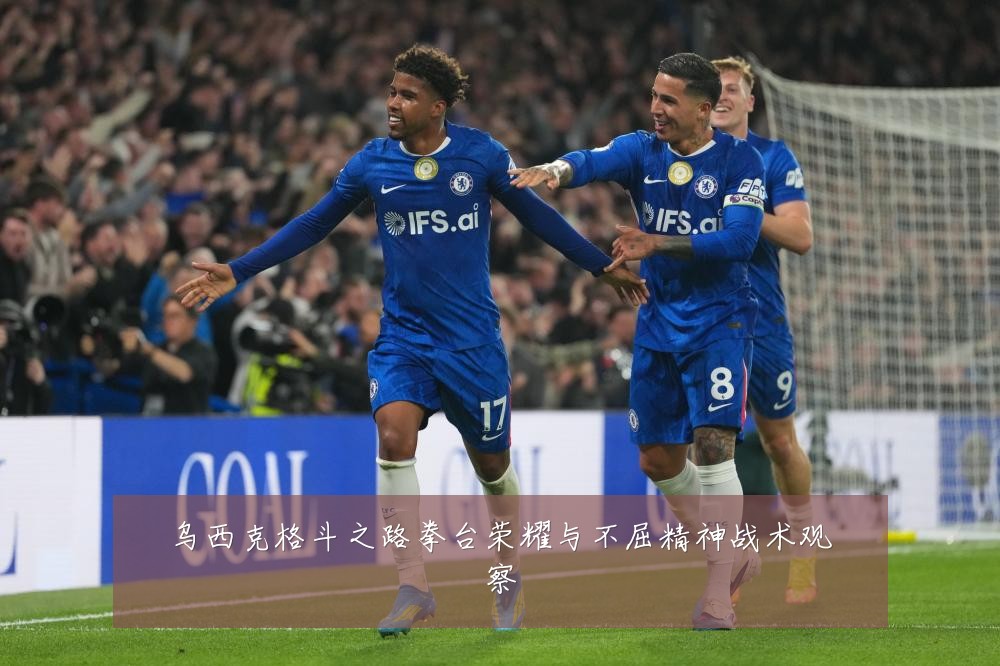 乌西克格斗之路拳台荣耀与不屈精神战术观察